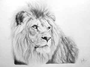 retrato-leon